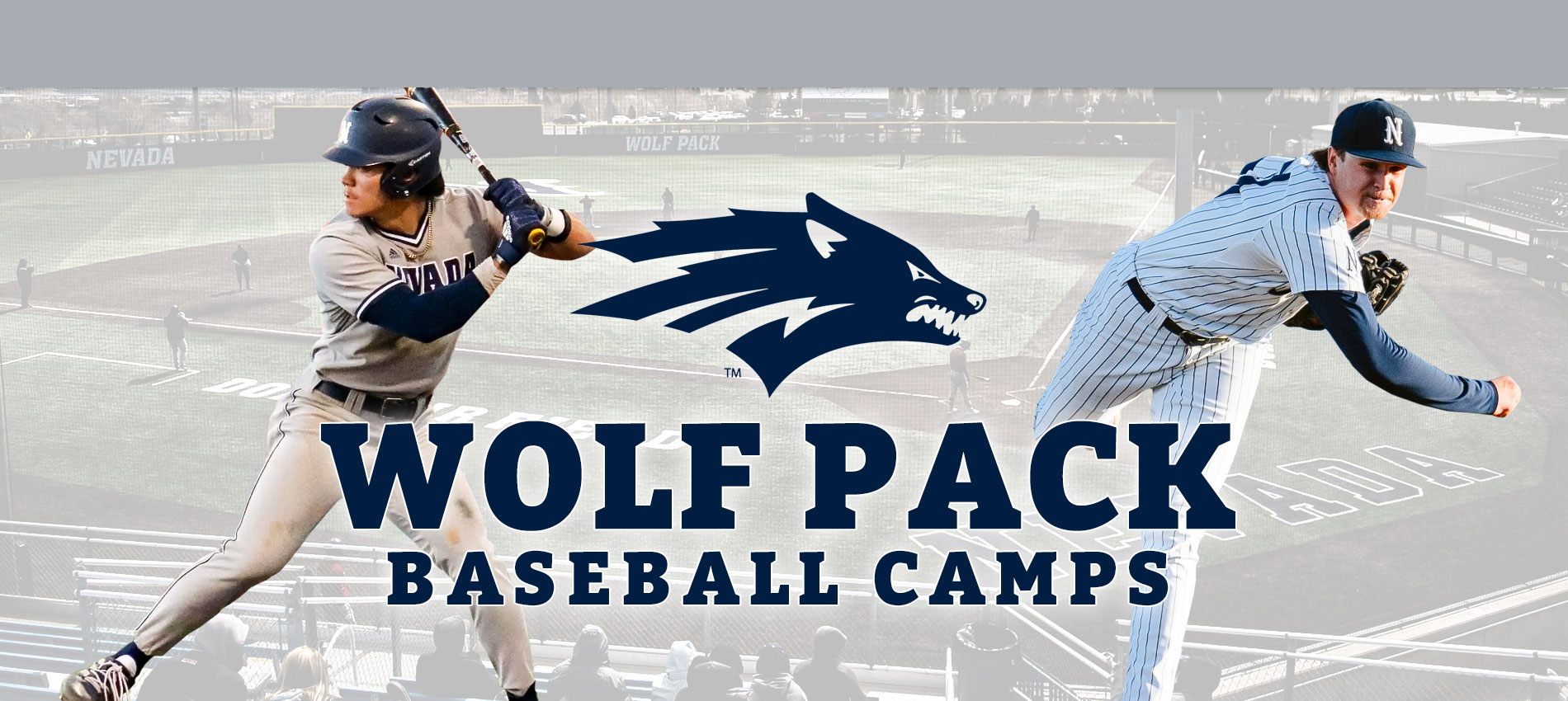 Wolf Pack Baseball Camps